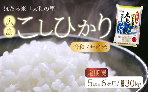 【6ヶ月定期便】ほたる米「大和の里」 広島こしひかり 精米 5kg 白米 米 こめ 令和7年産 066003