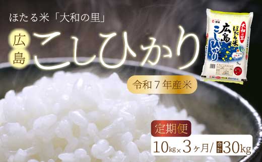 【3か月定期便】ほたる米「大和の里」広島こしひかり 精米 10kg（5kg×2袋） 白米 米 こめ 令和7年産 066005