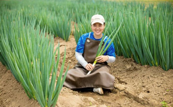 白ネギと季節の野菜BOX　野菜セット 広島県三原市産 池ちゃん農園 産地直送 新鮮 旬 野菜 鍋 すき焼き 年越しそば 味噌汁 お取り寄せ 特産品 先行受付 国産 甘い 080003