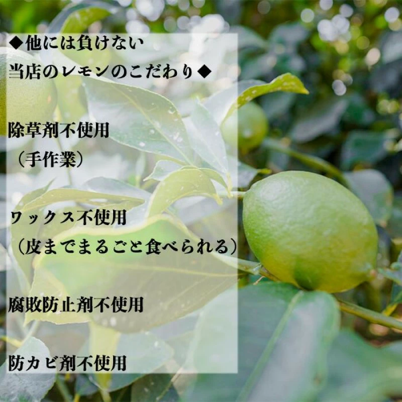 無添加 生搾り 瀬戸内レモン 果汁100％ 1000ml 082001