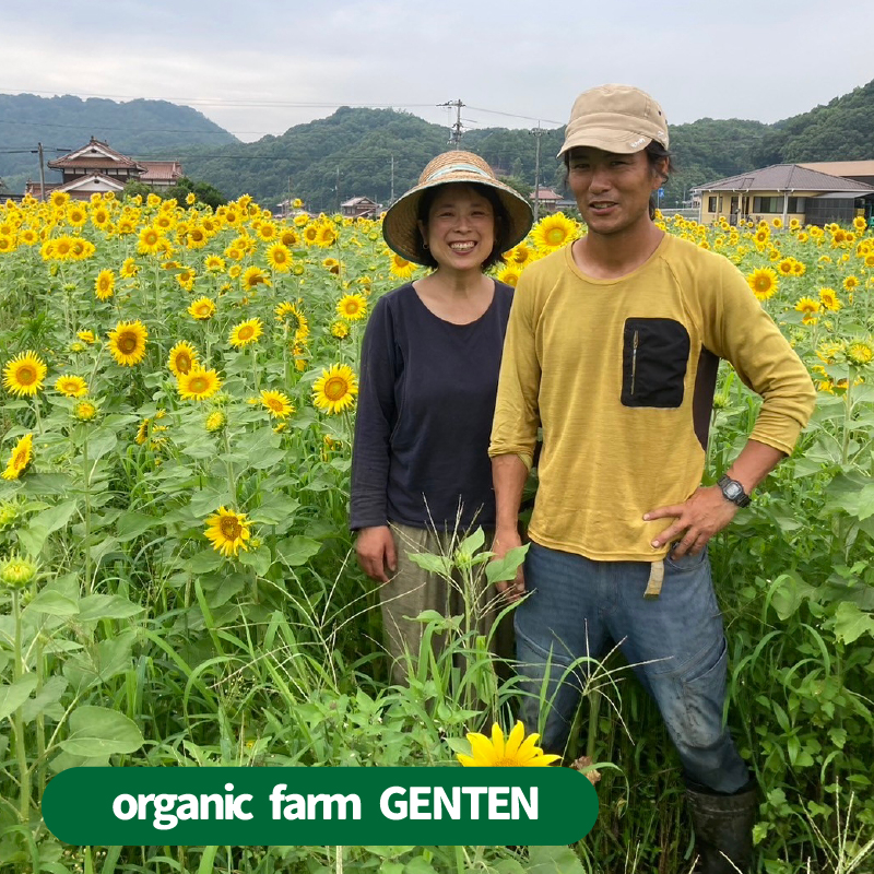 【栽培期間中無農薬】野菜のプロが選ぶ. 旬の野菜・卵・天然塩  全５〜７品詰め合わせセット（レシピ付き） 野菜 塩 卵 たまご 有機農家  野菜セット オーガニック レシピ 広島県 三原市 佐木島 083002