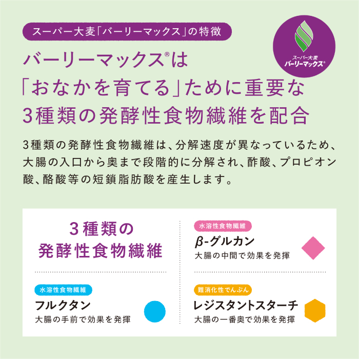 マイ・フローラグラノーラ200g×1袋 食物繊維 腸活 野村乳業 104012