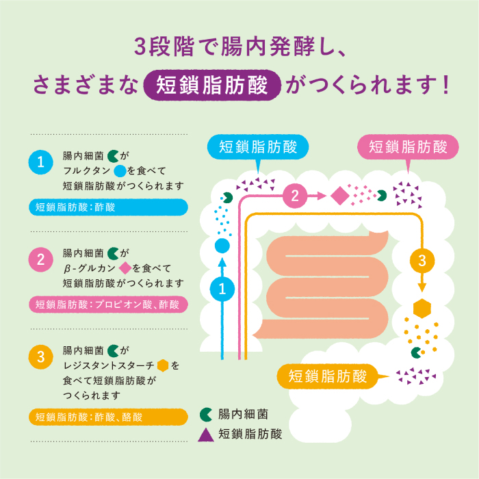 マイ・フローラグラノーラ200g×1袋 食物繊維 腸活 野村乳業 104012