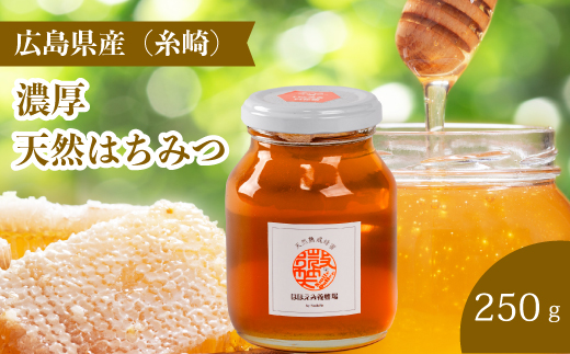 【国産 天然蜂蜜】ミニストック 熟成「濃厚はちみつ」250g (糸崎町産)はちみつ 無添加 広島県 三原市 106004