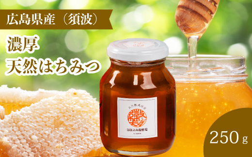 【国産 天然蜂蜜】ミニストック 熟成「濃厚はちみつ」250g (須波町産)ハチミツ 無添加 広島県 三原市 106006