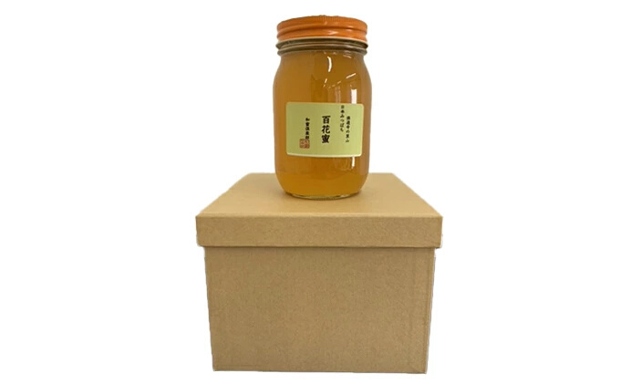 【 国産 天然蜂蜜 】 はちみつ 日本みつばち 百花蜜 500g たれ蜜製法 純粋ハチミツ108001