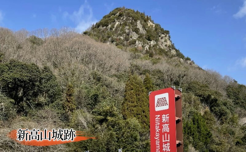 「新高山城 御城印」 と 「小早川隆景 武将印」御城印 ノート 和柄　110001