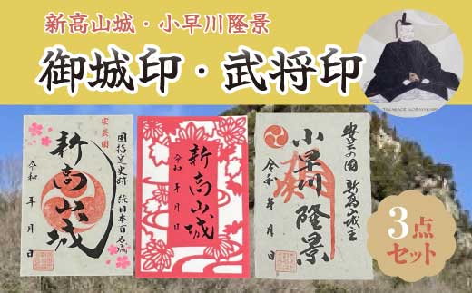 【新高山城】御城印 2種・【小早川隆景】武将印のセット 御城印 和柄 広島県三原市 110001