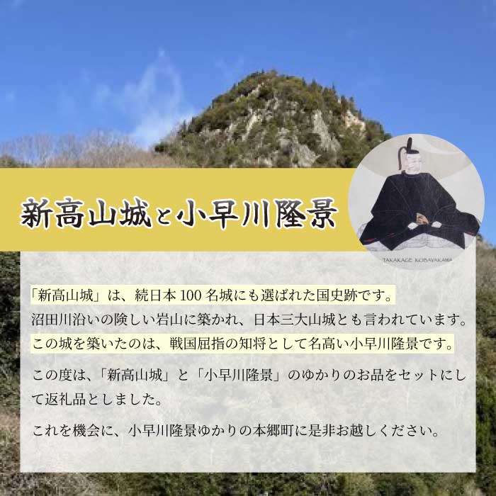 【新高山城】御城印 2種・【小早川隆景】武将印のセット 御城印 和柄 広島県三原市 110001
