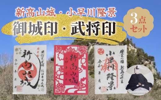 【新高山城】御城印 2種・【小早川隆景】武将印のセット 御城印 和柄 広島県三原市 110001