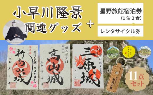 【新高山城】【高山城】御城印 3種・【小早川隆景 武将印】宿泊券 （旅館１泊２食宿泊券）・レンタサイクル券 などセット 和柄 雑貨 広島県三原市 110007