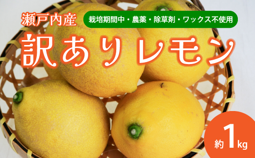 【栽培期間中農薬除草剤無し】わけあり瀬戸内レモン1kg サイズミックス お試し 家庭用 加工用 訳あり 117019