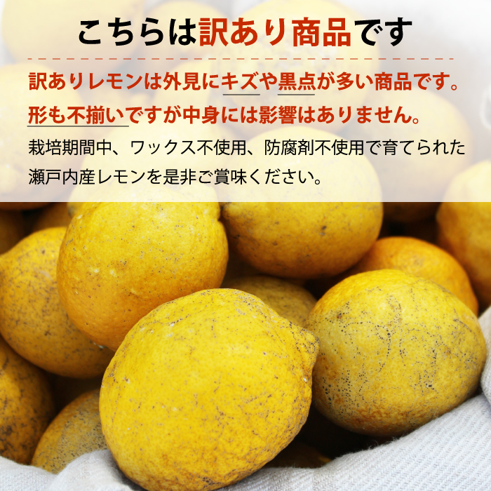 【栽培期間中農薬除草剤無し】わけあり瀬戸内レモン1kg サイズミックス お試し 家庭用 加工用 訳あり 117019