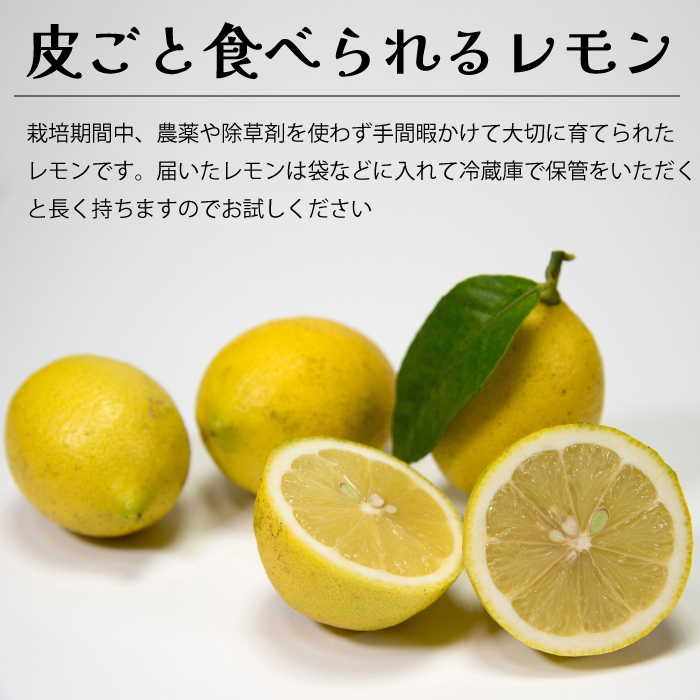 【栽培期間中農薬除草剤無し】わけあり瀬戸内レモン1kg サイズミックス お試し 家庭用 加工用 訳あり 117019