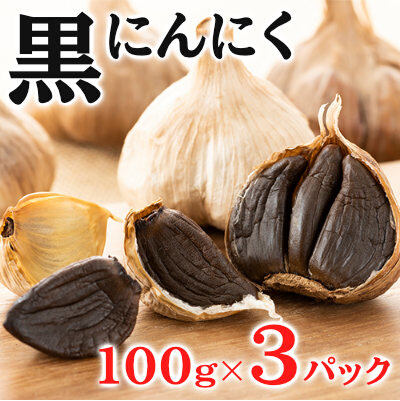 黒にんにく 100g×3パック セット (2) にんにく 加工品 118002