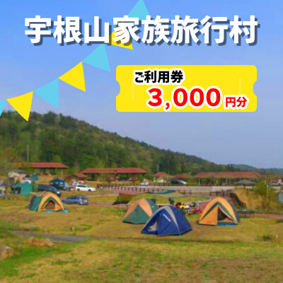 宇根山家族旅行村（キャンプ場） 宇根山天文台 ご利用券 3,000円分 キャンプ 宿泊 バーベキュー 星空 広島県三原市131001