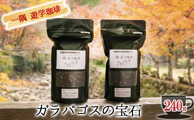 一隅 遊学珈琲　ガラパゴスの宝石 Jewels of Miconia（計240g）コーヒー 焙煎 豆