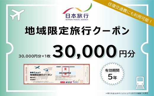 広島県三原市 日本旅行＜地域限定旅行クーポン＞30,000円分 観光地応援 温泉 観光 旅行 ホテル 旅館 クーポン チケット 予約 株式会社日本旅行 143002