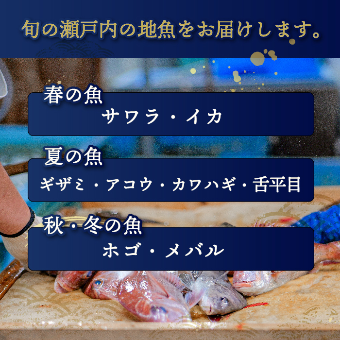 瀬戸内産 鮮魚 地魚詰め合わせ（3～5種類）瀬戸内の天然鯛入り/ 地魚 鯛 天然鯛 真鯛 天然 鮮魚 下処理済 瀬戸内 広島県 三原市　154003