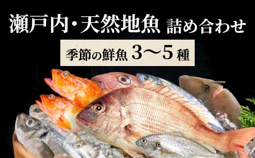瀬戸内産 鮮魚 地魚詰め合わせ（3～5種類）瀬戸内の天然鯛入り/ 地魚 鯛 天然鯛 真鯛 天然 鮮魚 下処理済 瀬戸内 広島県 三原市　154003