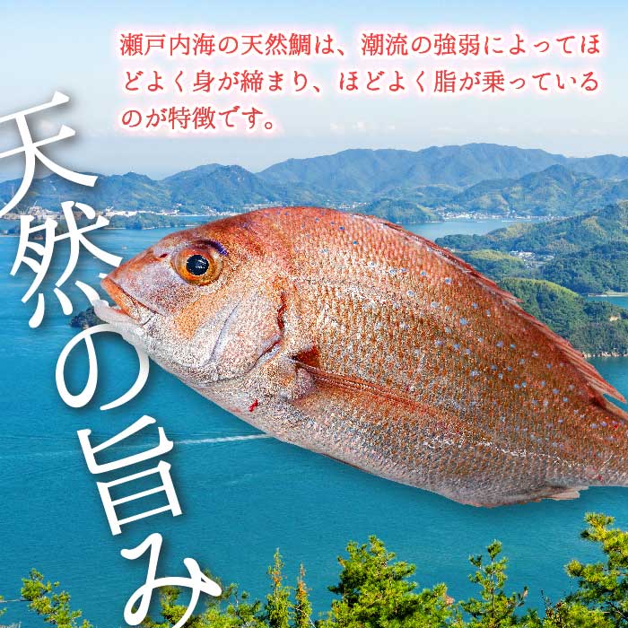 瀬戸内産 天然鯛 約2.5kg（500g×5匹/鱗・内臓処理）・鮮魚3～5種 詰め合わせ 地魚 鯛 天然鯛 真鯛 天然 鮮魚 下処理済 瀬戸内 広島県 三原市 154008