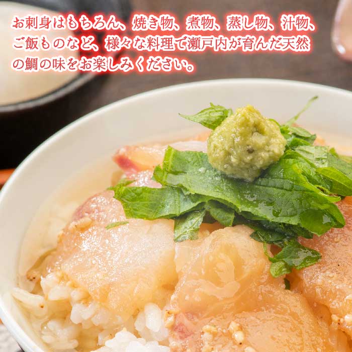 瀬戸内産 天然鯛 約2.5kg（500g×5匹/鱗・内臓処理）・鮮魚3～5種 詰め合わせ 地魚 鯛 天然鯛 真鯛 天然 鮮魚 下処理済 瀬戸内 広島県 三原市 154008