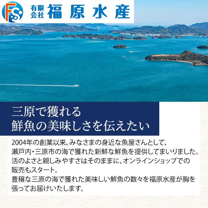 瀬戸内産 天然鯛 約2.5kg（500g×5匹/鱗・内臓処理）・鮮魚3～5種 詰め合わせ 地魚 鯛 天然鯛 真鯛 天然 鮮魚 下処理済 瀬戸内 広島県 三原市 154008