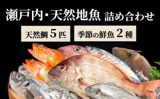 瀬戸内産 天然鯛 約2.5kg（500g×5匹/鱗・内臓処理）・鮮魚2種 詰め合わせ 地魚 鯛 天然鯛 真鯛 天然 鮮魚 下処理済 瀬戸内 広島県 三原市 154007