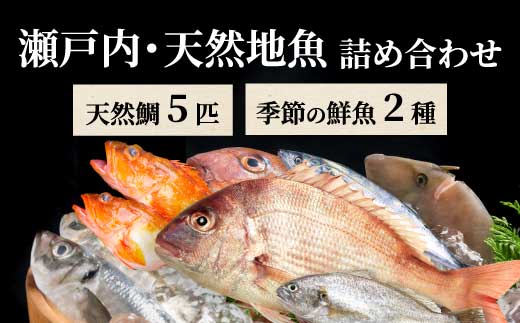 瀬戸内産 天然鯛 約2.5kg（500g×5匹/鱗・内臓処理）・鮮魚3～5種 詰め合わせ 地魚 鯛 天然鯛 真鯛 天然 鮮魚 下処理済 瀬戸内 広島県 三原市 154008
