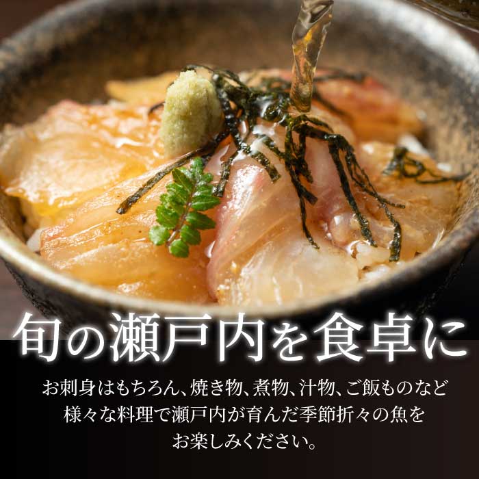 【12か月定期便】瀬戸内産 鮮魚 地魚詰め合わせ（3～5種類）計12回お届け 瀬戸内の天然鯛入り/ 地魚 鯛 天然鯛 真鯛 天然 鮮魚 下処理済 瀬戸内 広島県 三原市　154011