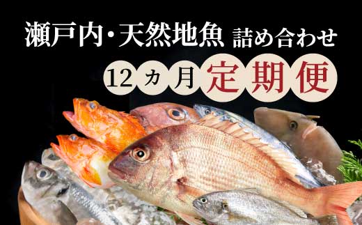 【12か月定期便】瀬戸内産 鮮魚 地魚詰め合わせ（3～5種類）計12回お届け 瀬戸内の天然鯛入り/ 地魚 鯛 天然鯛 真鯛 天然 鮮魚 下処理済 瀬戸内 広島県 三原市　154011