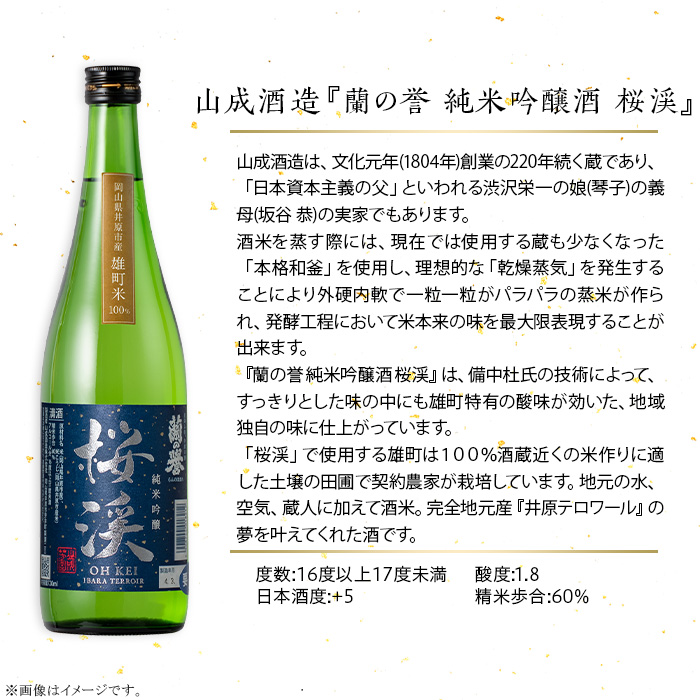 【びんご圏域連携】備後の日本酒『純米吟醸酒』飲み比べセット 純米吟醸 神雷 天寶一 蘭の誉 桜渓 720ml 3本 セット お酒 日本酒 酒 飲み比べ 飲み比べセット 三輪酒造 山成酒造 人気 おすすめ びんご 備後 井原市 神石高原町 福山市 165001