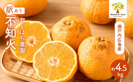 【おくはち農園】〈訳あり〉不知火（しらぬい） 4.5kg 《2026年3～4月発送予定》栽培期間中 防腐剤 ワックス 不使用 旬 柑橘 かんきつ フルーツ 果物 瀬戸内 166010