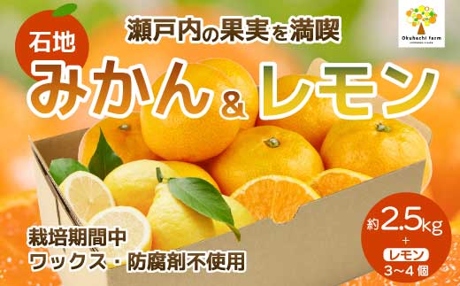 【おくはち農園】石地みかん 2.5kg レモン3～4個《2025年12月発送予定》栽培期間中 防腐剤 ワックス 不使用 旬 柑橘 かんきつ フルーツ 果物 瀬戸内 166023