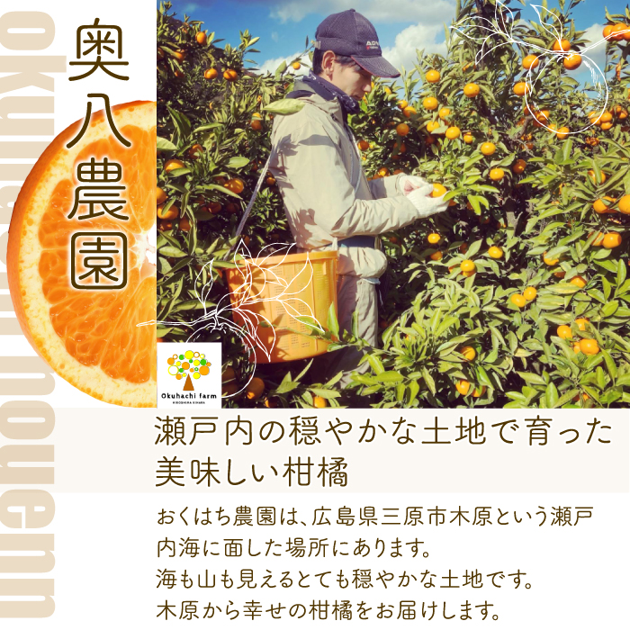 ãããã¯ã¡èŸ²åããèš³ãããäžç¥ç«ïŒããã¬ãïŒ 4.5kg ã2026幎3ïœ4æçºéäºå®ãæ œå¹æéäž é²è
å€ ã¯ãã¯ã¹ äžäœ¿ç𠿬 ææ© ããã〠ãã«ãŒã æç© ç¬æžå
166010