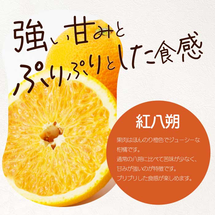【おくはち農園】〈訳あり〉紅八朔 5kg 《2026年2～3月発送予定》栽培期間中 防腐剤 ワックス 不使用 旬 柑橘 かんきつ はっさく フルーツ 果物 瀬戸内 166006 