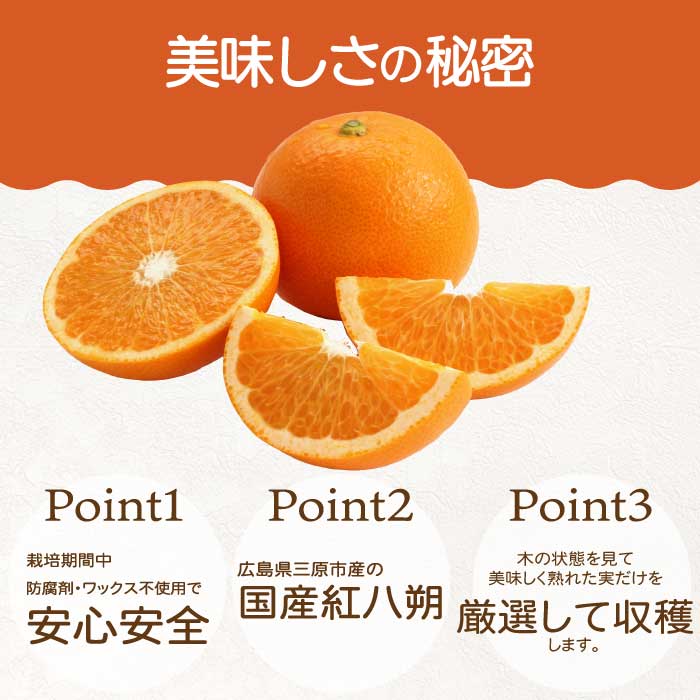 【おくはち農園】〈訳あり〉紅八朔 5kg 《2026年2～3月発送予定》栽培期間中 防腐剤 ワックス 不使用 旬 柑橘 かんきつ はっさく フルーツ 果物 瀬戸内 166006 