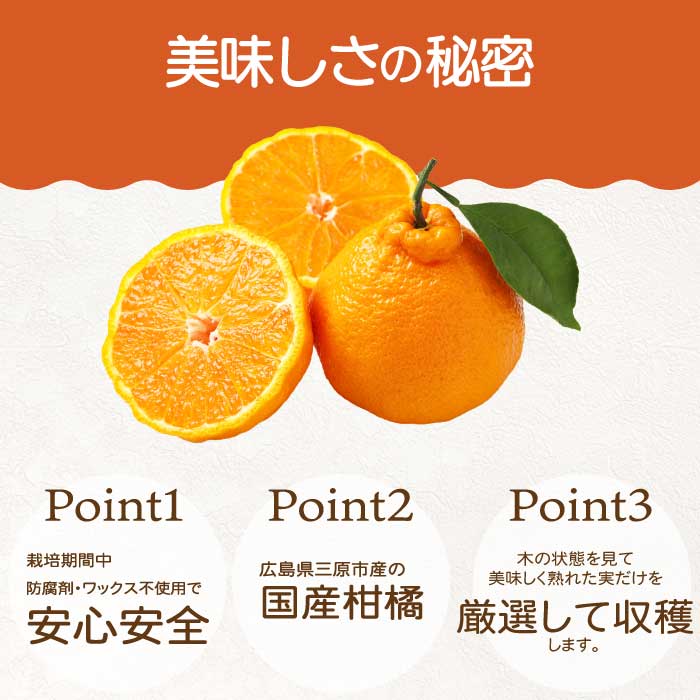 ãããã¯ã¡èŸ²åããèš³ãããäžç¥ç«ïŒããã¬ãïŒ 4.5kg ã2026幎3ïœ4æçºéäºå®ãæ œå¹æéäž é²è
å€ ã¯ãã¯ã¹ äžäœ¿ç𠿬 ææ© ããã〠ãã«ãŒã æç© ç¬æžå
166010