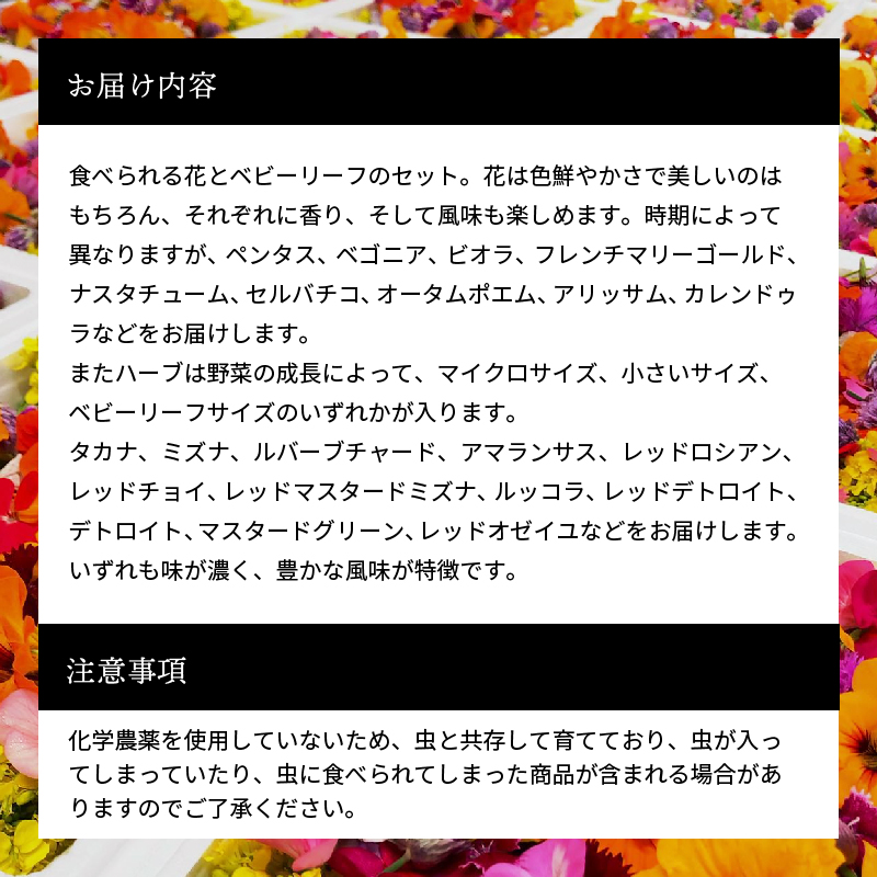 世界の料理人が惚れ込む、広島・梶谷農園のハーブ カジヤスゴイハーブBOX ミシュラン 三つ星 マイクロハーブ　168002