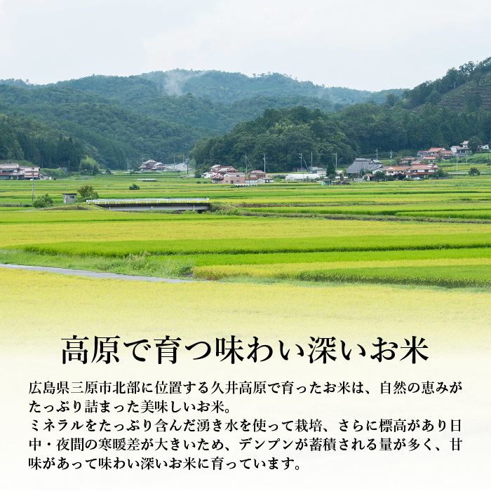 【6ヵ月定期便】令和６年度新米 お米マイスターがお届けする コシヒカリ 5kg  こしひかり 白米  コメ 精米 広島県産こしひかり  169003