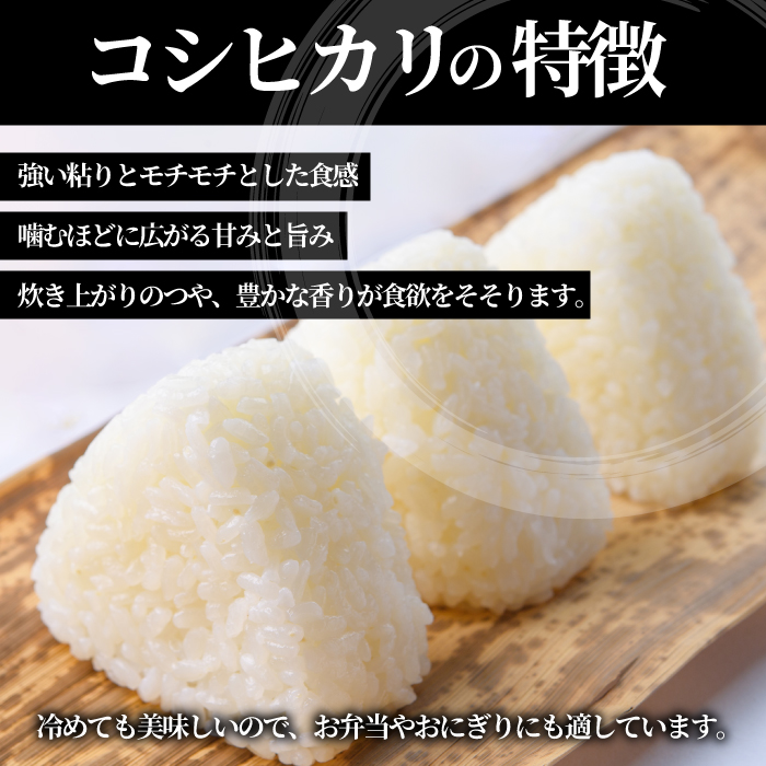 【令和7年】コシヒカリ 精米（白米）10kg こしひかり ごはん お米 米 おにぎり 181001