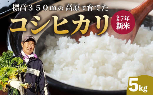 【令和7年新米】コシヒカリ 精米（白米）5kg 新米 コシヒカリ こしひかり ごはん お米 米 おにぎり 181002