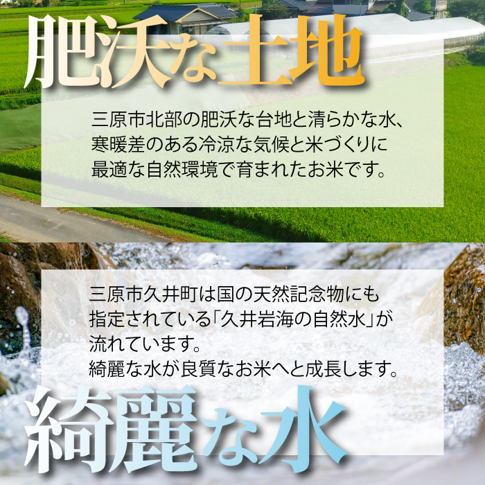 ã什å7幎æ°ç±³ãã³ã·ãã«ãª 粟米ïŒçœç±³ïŒ5kg æ°ç±³ ã³ã·ãã«ãª ããã²ãã ãã¯ã ãç±³ ç±³ ãã«ãã 181002