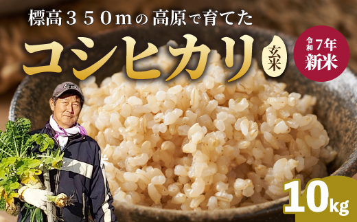【令和7年新米】コシヒカリ 玄米 10kg 新米 コシヒカリ こしひかり ごはん お米 米 181003