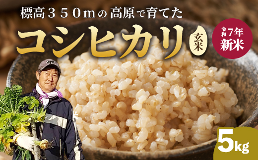 【令和7年新米】コシヒカリ 玄米 5kg こしひかり ごはん お米 米 181004