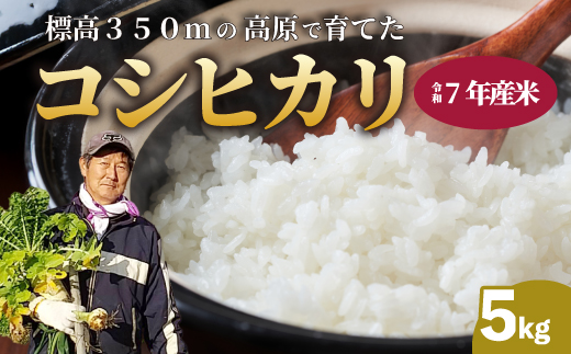【令和7年】コシヒカリ 精米（白米）5kg 新米 コシヒカリ こしひかり ごはん お米 米 おにぎり 181002
