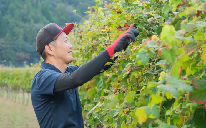 【びんご圏域連携】せらワイナリー・山野峡大田ワイナリー・瀬戸内醸造所　ワイン飲み比べセット 182001