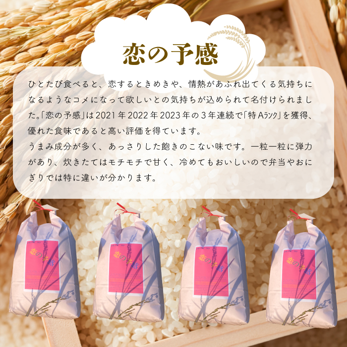 【令和６年産】恋の予感 白米10kg（5kg×2袋） お米 米 精米 ごはん ご飯 広島県 三原市 187002