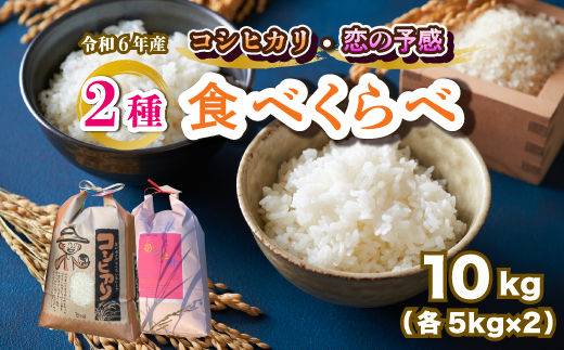 【令和６年産】お米2種食べ比べ 恋の予感5kg コシヒカリ5kg 白米 お米 米 精米 ごはん ご飯 広島県 三原市 187008