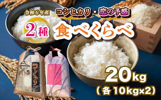 【令和６年産】お米2種食べ比べ 恋の予感10kg コシヒカリ10kg 白米 お米 米 精米 ごはん ご飯 広島県 三原市 187009